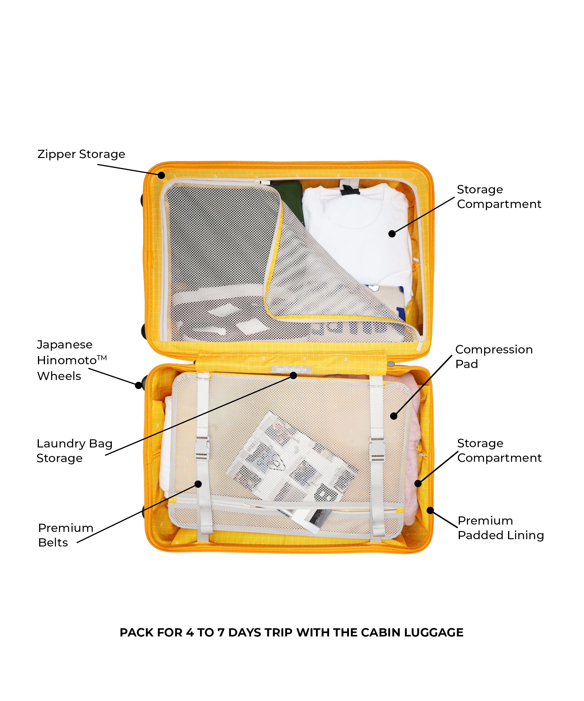 Color_Timeless Greenray (Limited Edition) | The Cabin Luggage